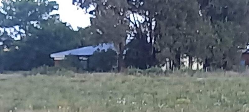 3 Bedroom Property for Sale in Edenburg Free State